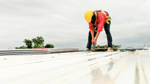 Best Roof Ventilation Installation  in Redlands, CA